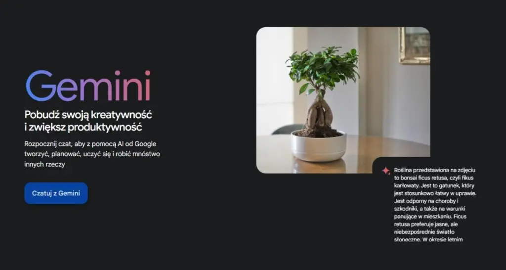 Gemini