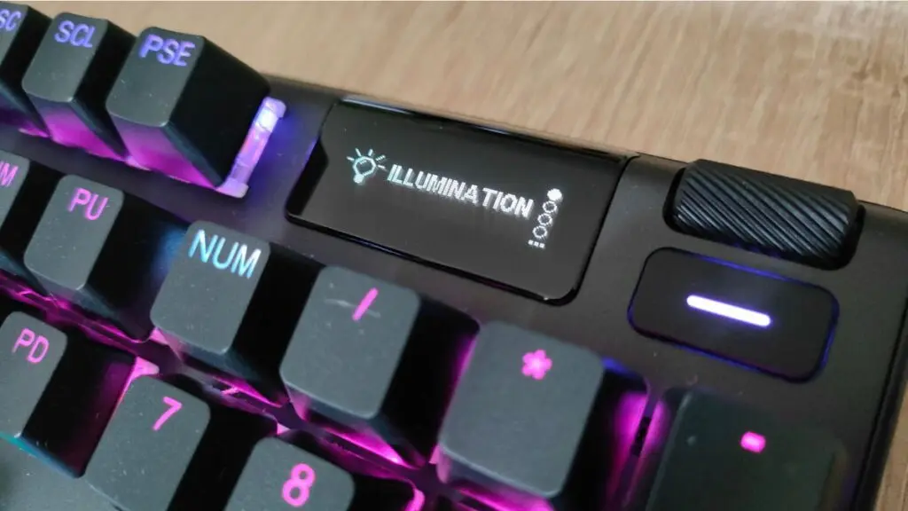 Ekran OLED