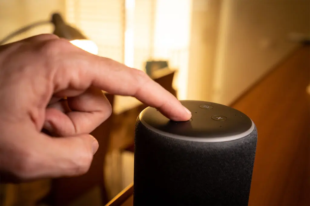 alexa po polsku głośnik