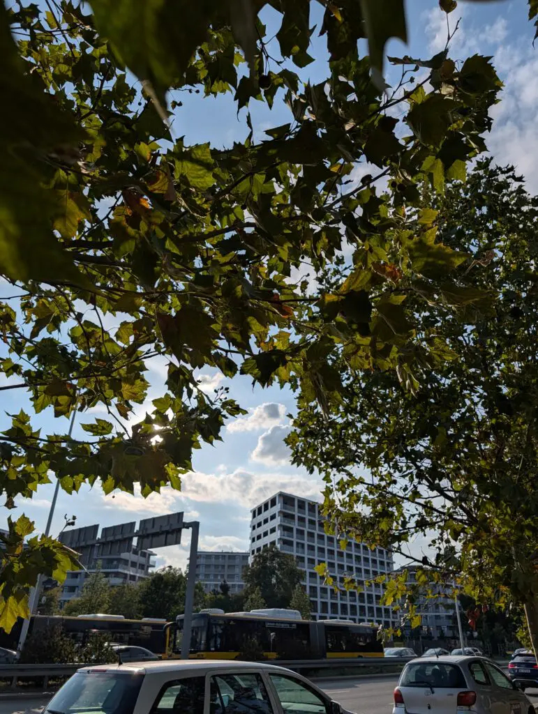 zdjęcie wykonane telefonem pixel 10 pro