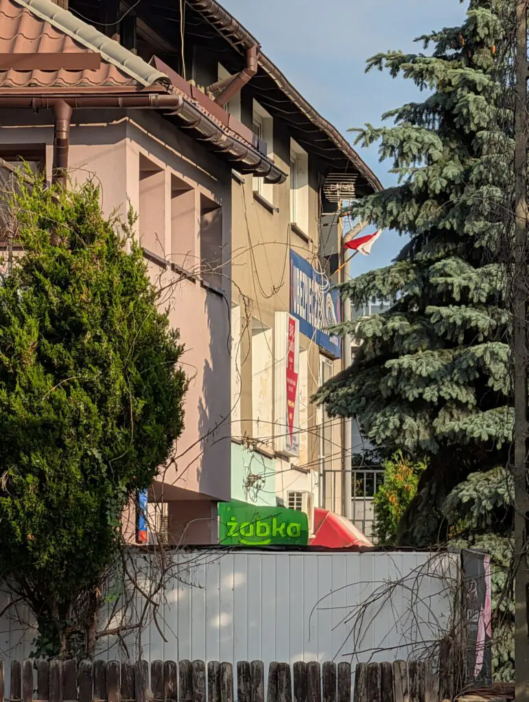 zdjęcie wykonane telefonem pixel 10 pro