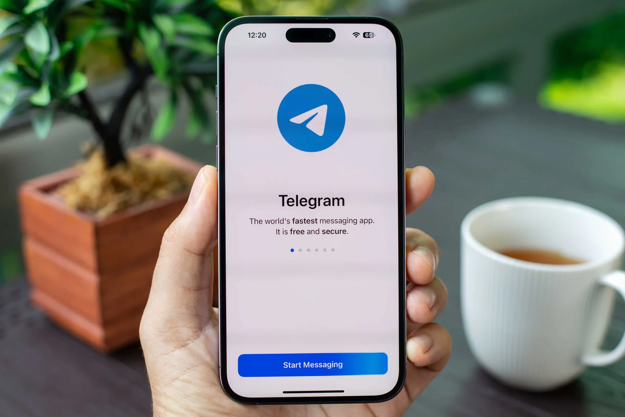Telegram – co to jest i jak działa?