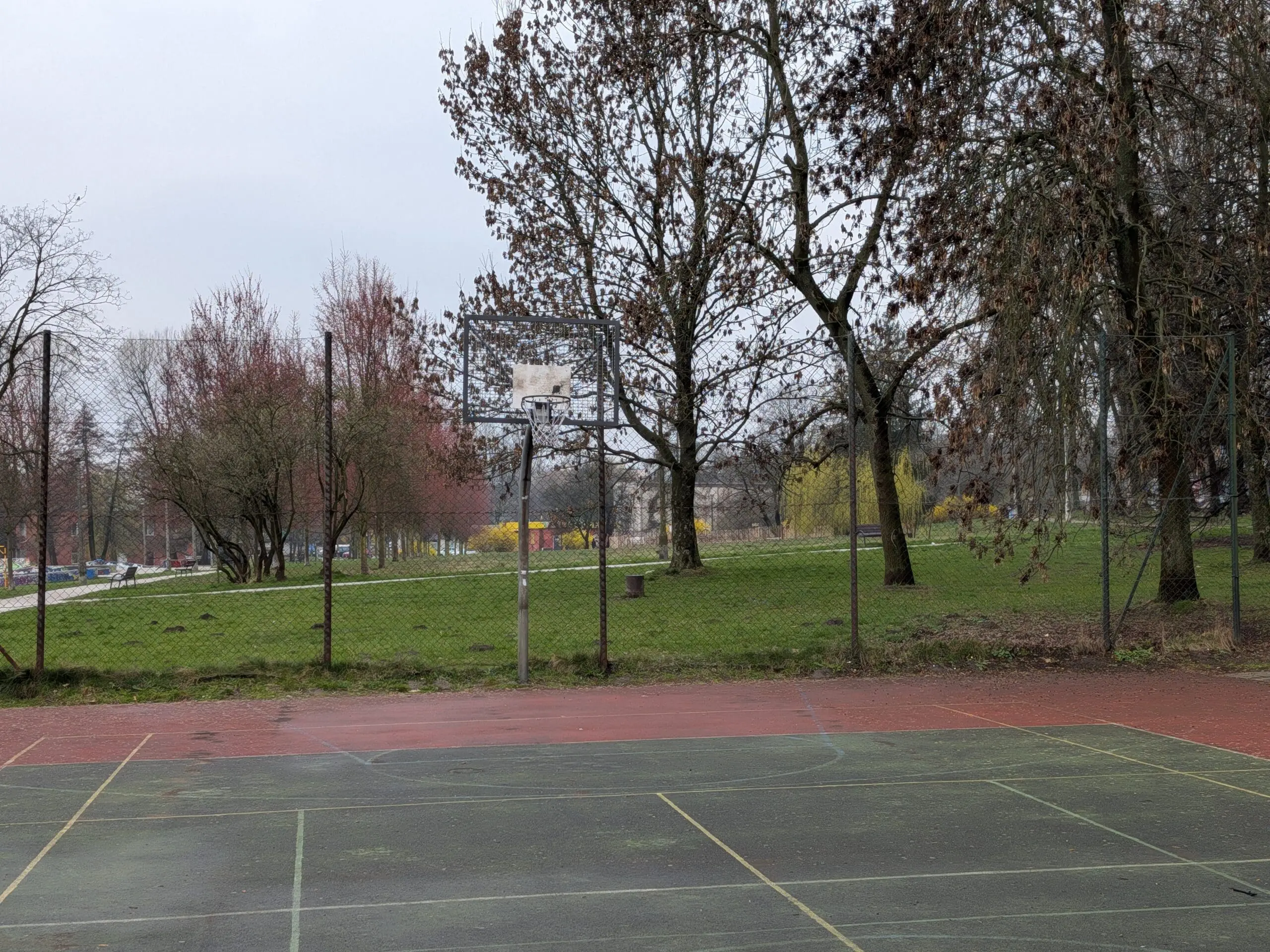 boisko do koszykówki zoom