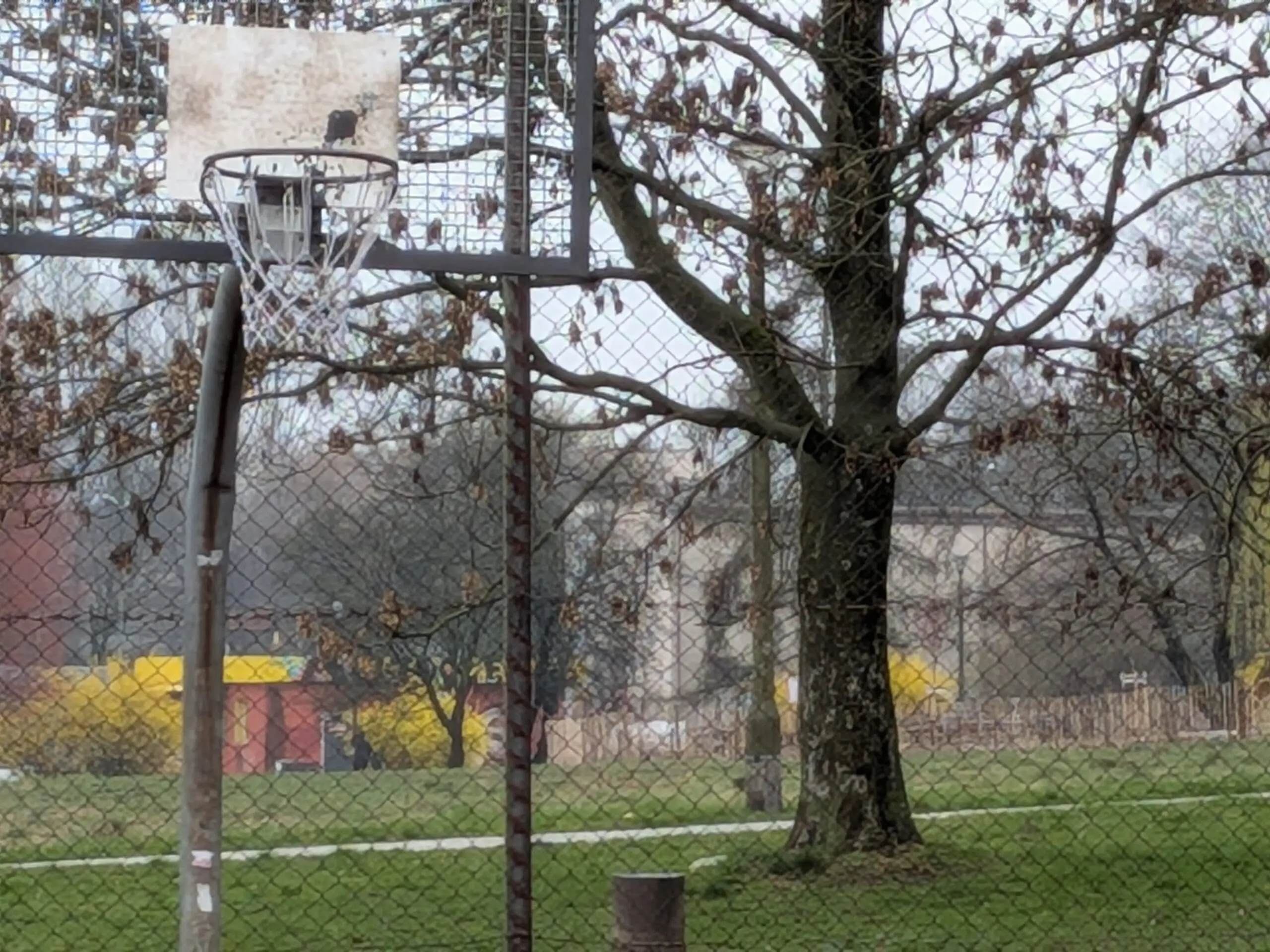 boisko do koszykówki maks. zoom