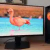Recenzja MSI MAG 274QP QD-OLED X24 – OLED dla graczy w cenie monitora IPS