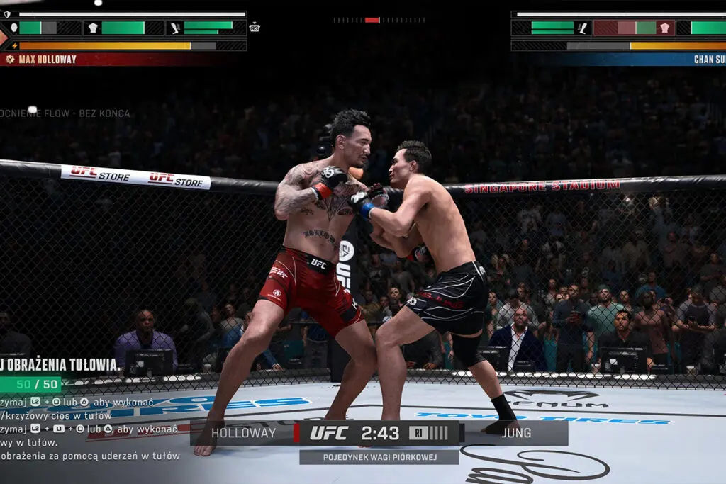 Screenshot z gry UFC 6 