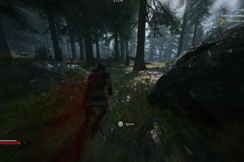 screenshot z gry the blood of dawnwalker