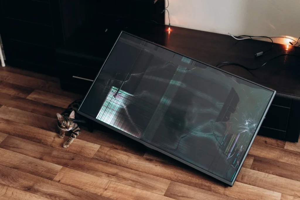 Uszkodzona matryca w telewizorze przez kota