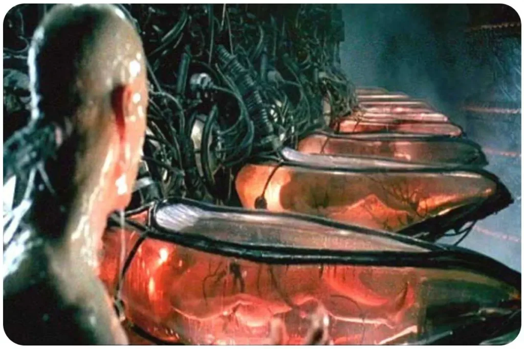 scena z filmu matrix