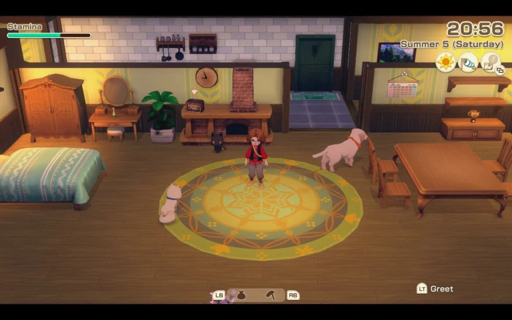 dom na farmie story of seasons grand bazaar