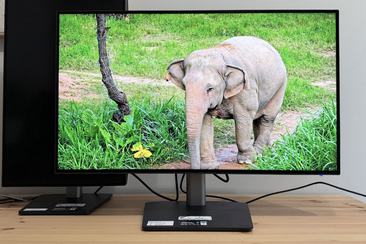 Jaki monitor dla grafika? Test iiyama ProGraphic HB3201UHSNP-B1 i HB2701UHSNP-B1