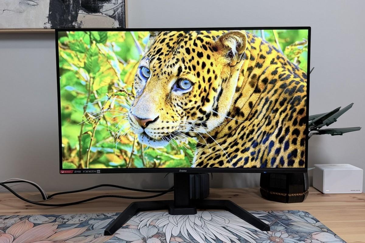 Test iiyama Red Eagle GB2771HSU-B1. Skok do 240 Hz bez przepłacania